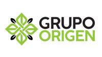 Grupo Origen